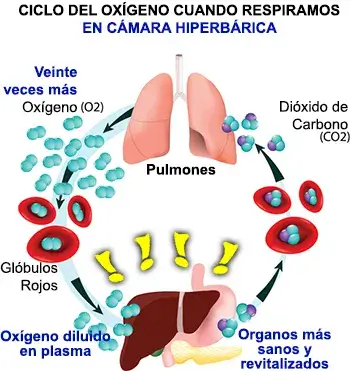 Ciclo Respiratorio Hiperbarica